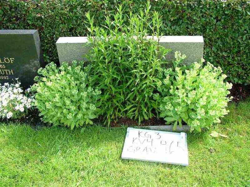 Hautatunnus: 3 04   465