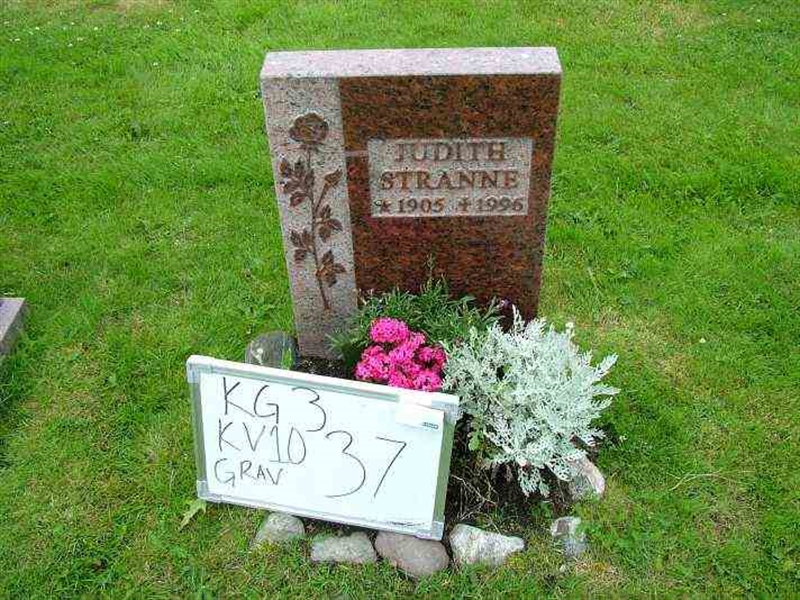 Gravnummer: 3 10    37