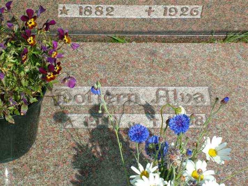 Gravnummer: 3 03    49