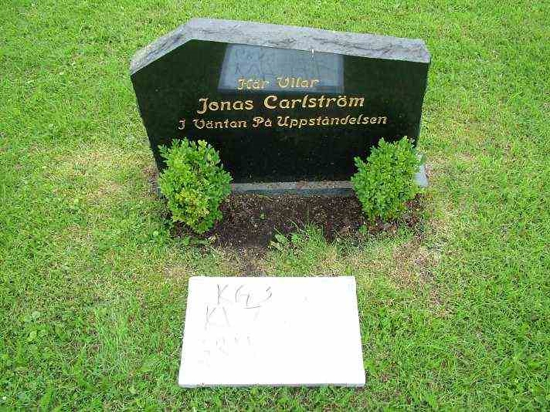 Gravnummer: 3 07    41