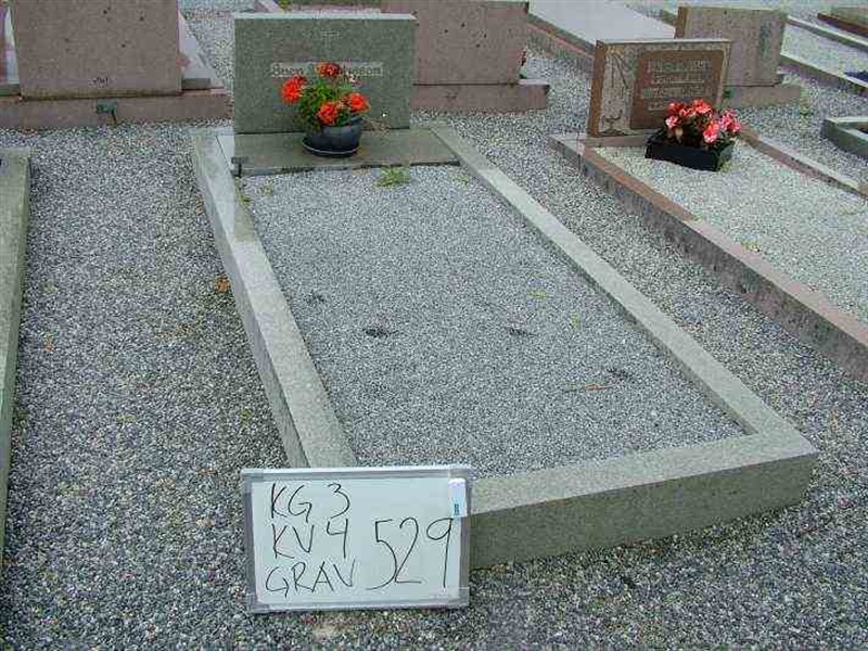 Hautatunnus: 3 04   529