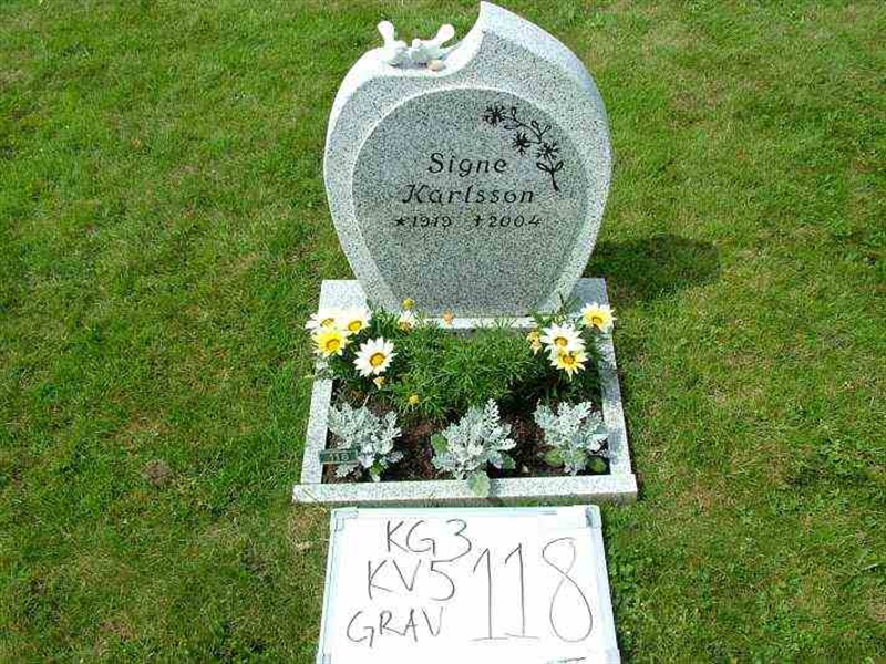 Gravnummer: 3 05   118