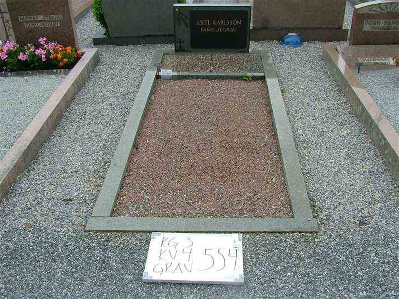 Gravnummer: 3 04   554