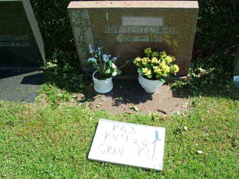 Hautatunnus: 3 04   381