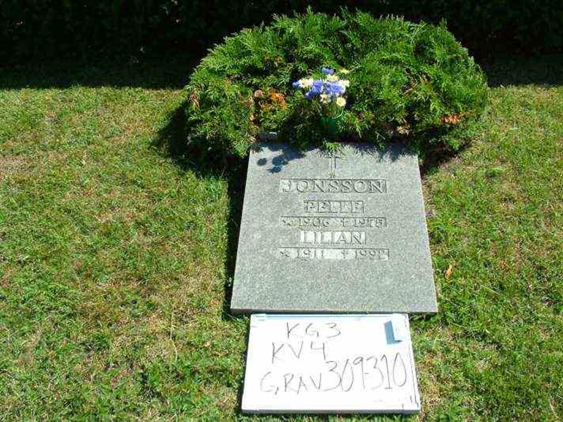 Hautatunnus: 3 04   309-310