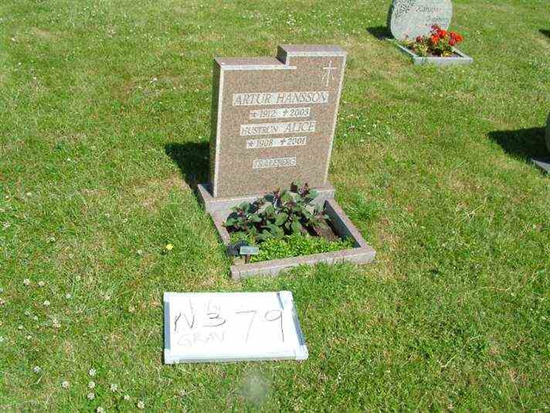 Gravnummer: 3 03    79