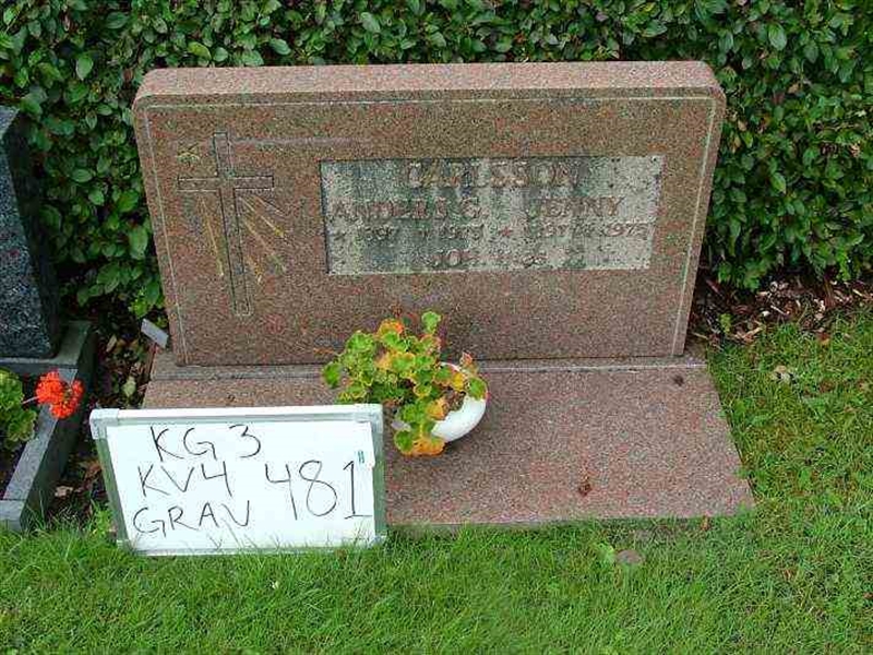 Gravnummer: 3 04   481