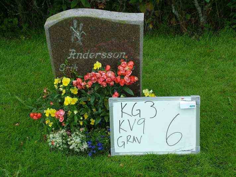 Gravnummer: 3 09     6