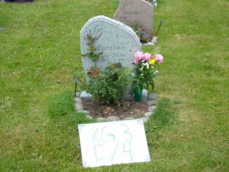 Gravnummer: 3 12     4