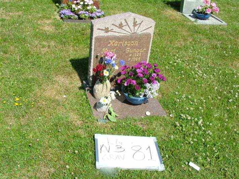 Gravnummer: 3 03    81