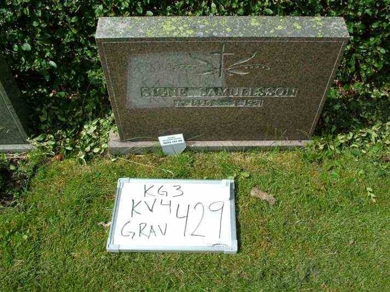 Gravnummer: 3 04   429