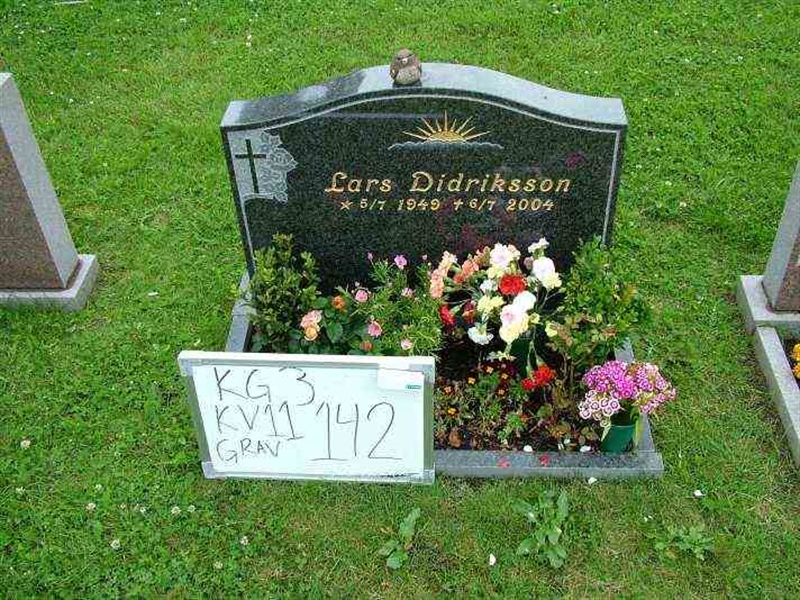 Gravnummer: 3 11   142