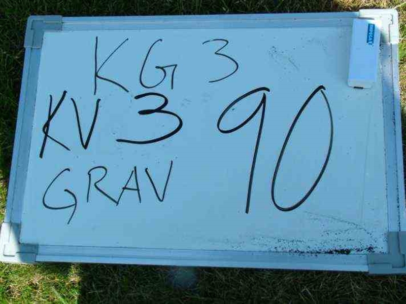 Gravnummer: 3 03    90