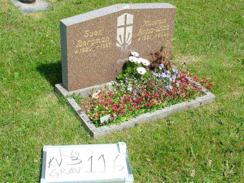 Gravnummer: 3 03   116