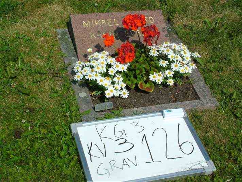 Gravnummer: 3 03   126