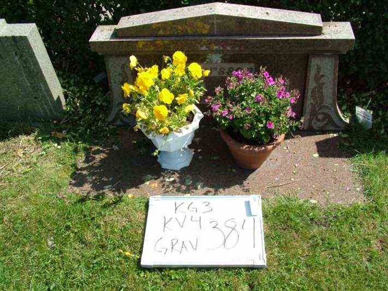 Hautatunnus: 3 04   384