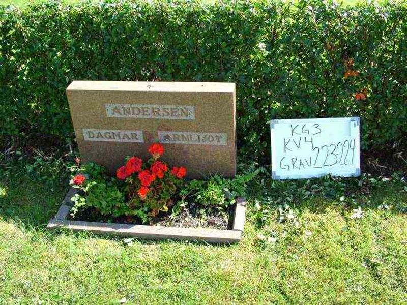 Gravnummer: 3 04   223-224