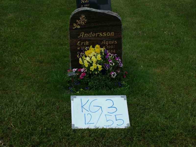 Gravnummer: 3 12    55