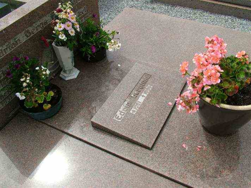 Gravnummer: 3 04   562-563