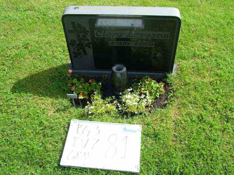 Gravnummer: 3 07    81