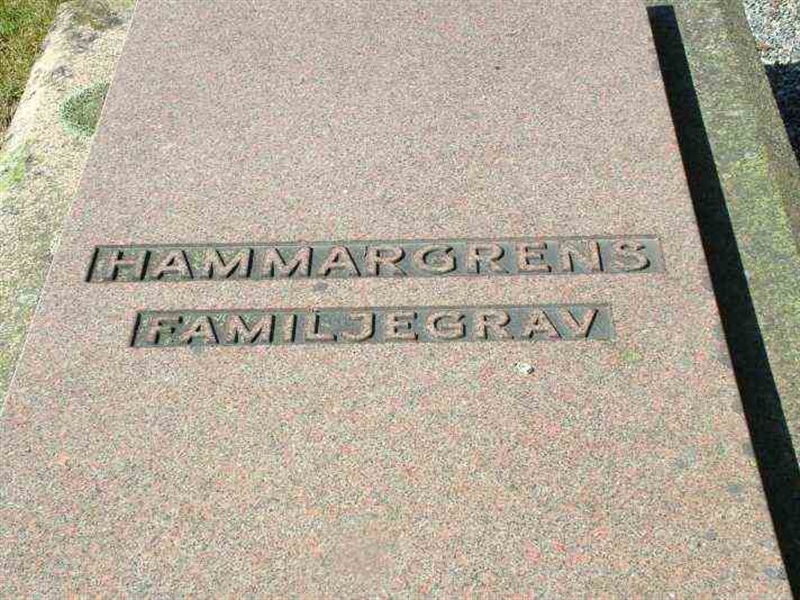 Gravnummer: 3 03    32