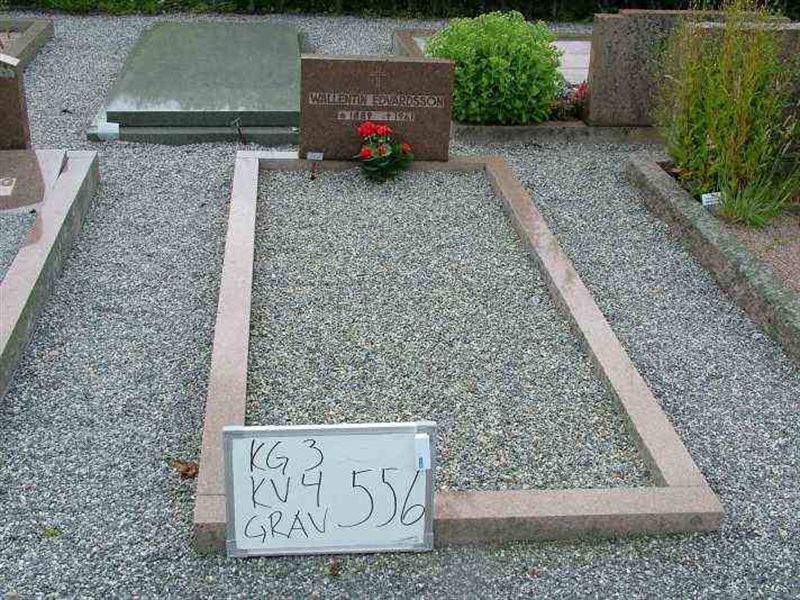 Gravnummer: 3 04   556