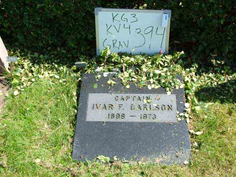 Gravnummer: 3 04   394