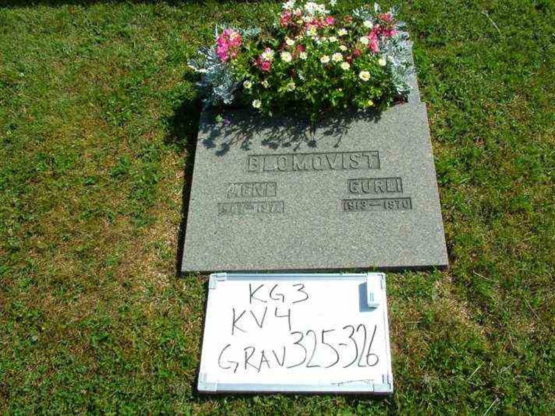Gravnummer: 3 04   325-326