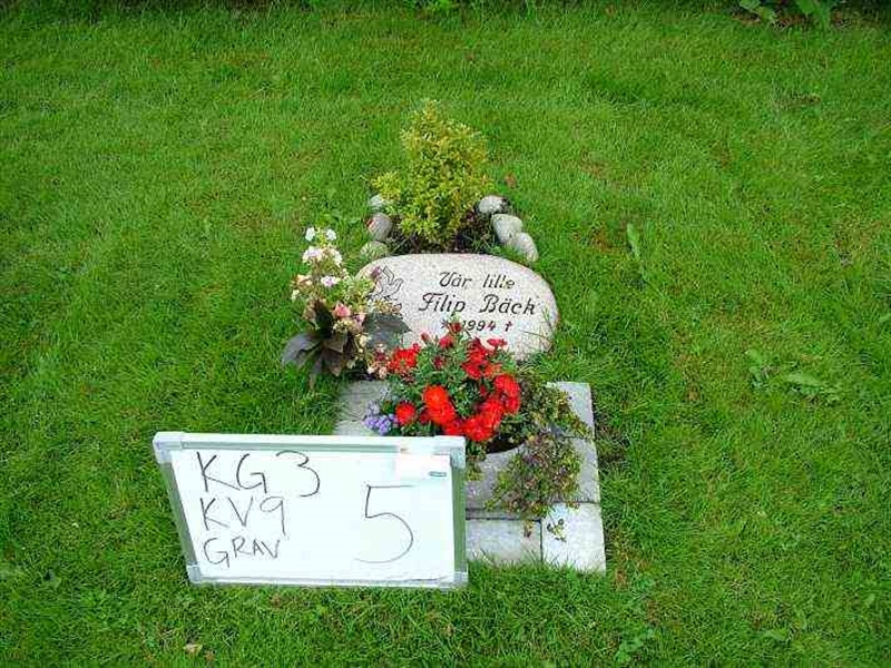 Gravnummer: 3 09     5