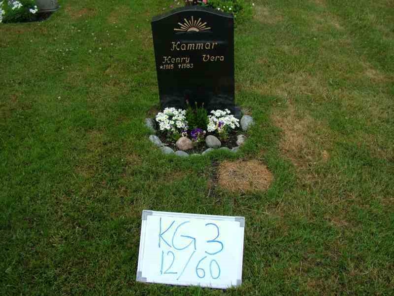 Gravnummer: 3 12    60