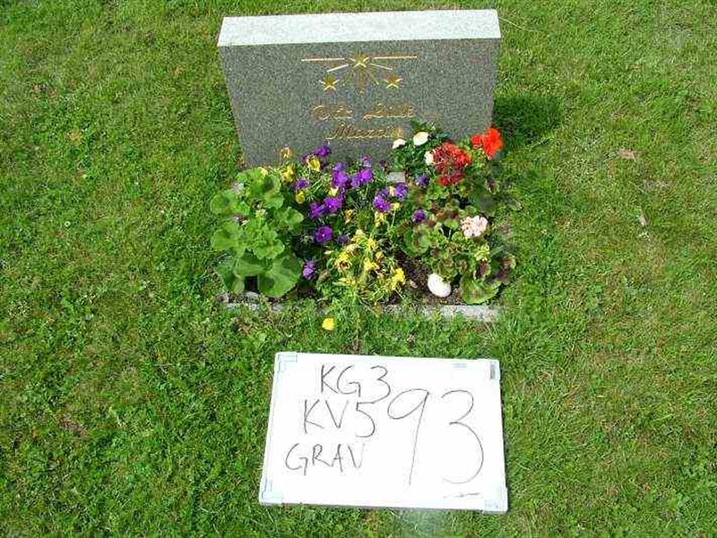 Gravnummer: 3 05    93