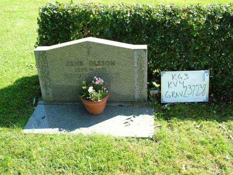 Hautatunnus: 3 04   237-238