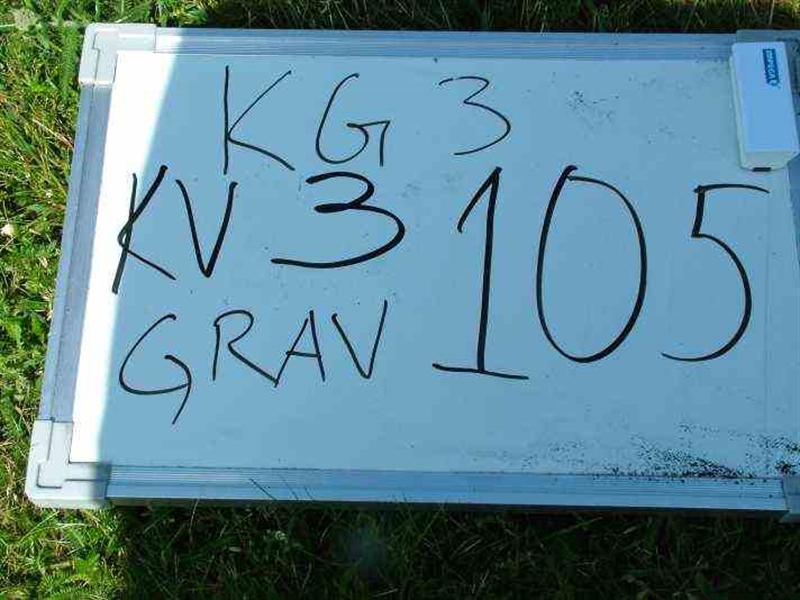 Gravnummer: 3 03   105