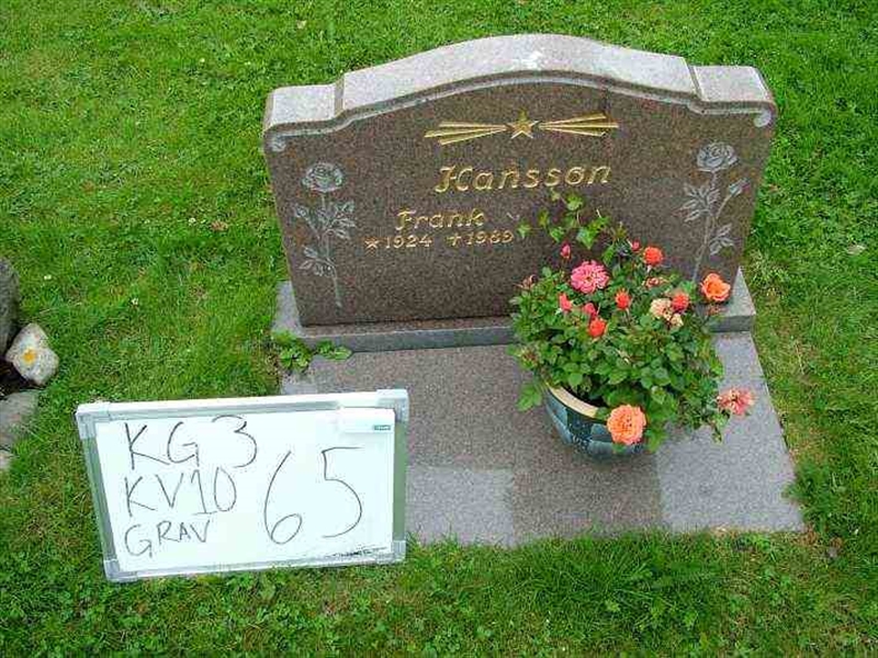 Gravnummer: 3 10    65