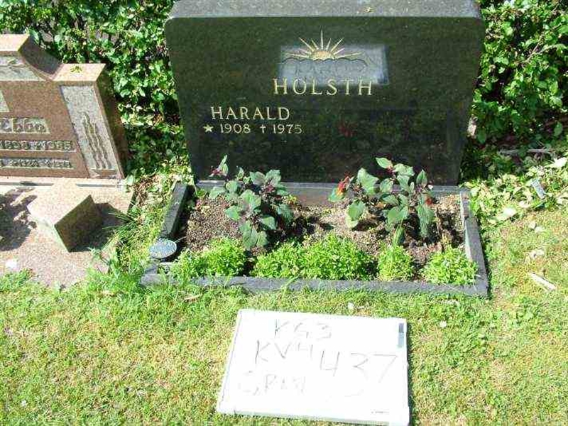 Hautatunnus: 3 04   437