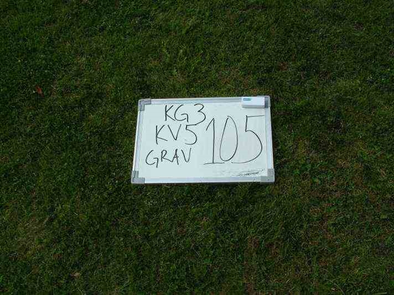 Gravnummer: 3 05   105