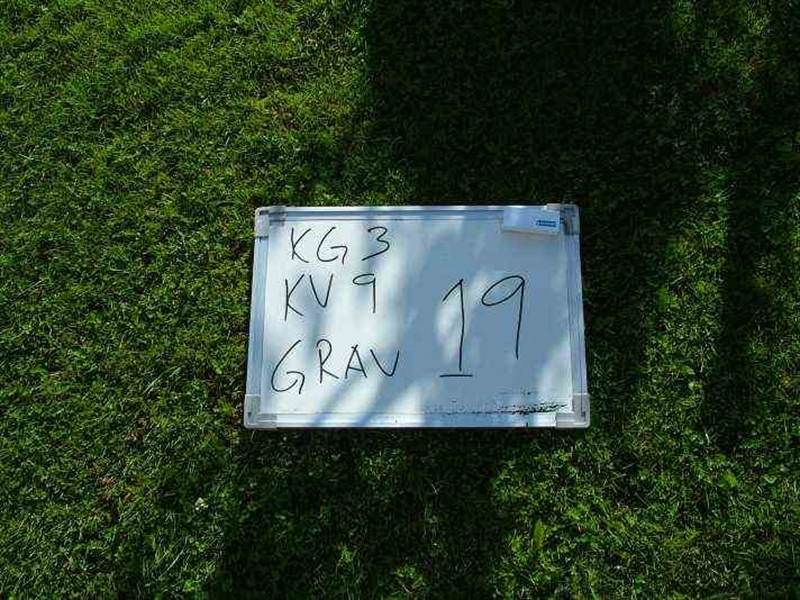 Gravnummer: 3 09    19