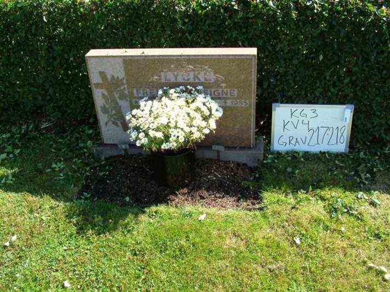 Hautatunnus: 3 04   217-218