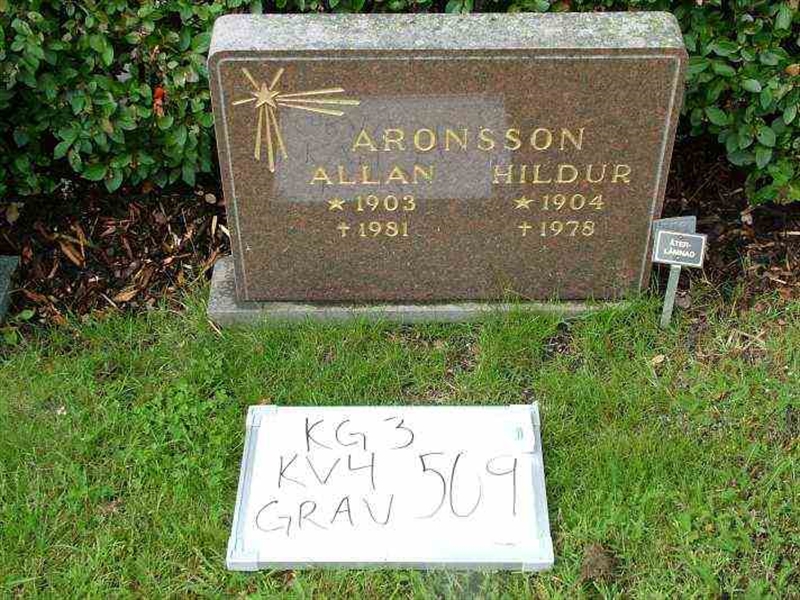 Gravnummer: 3 04   509