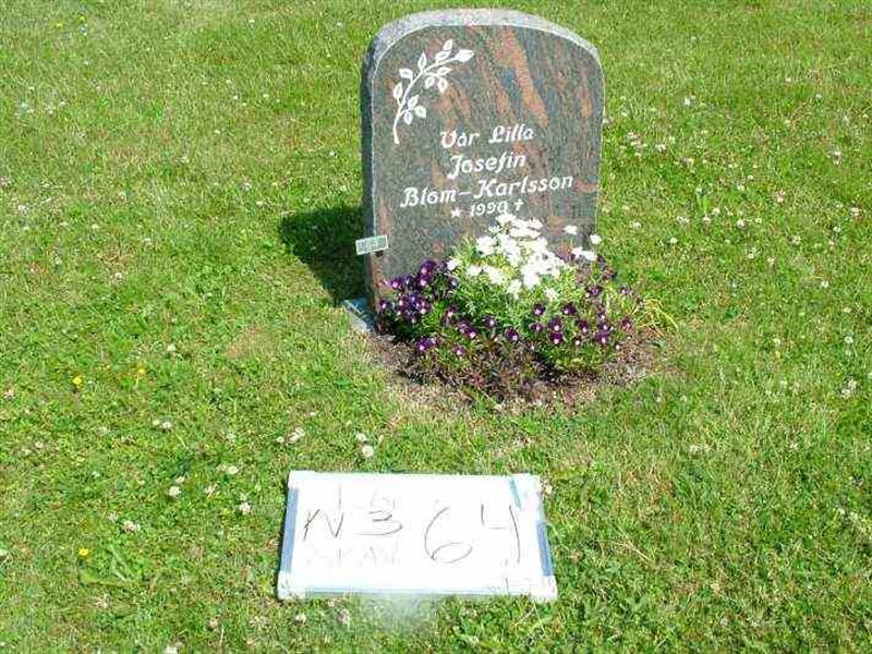 Gravnummer: 3 03    64