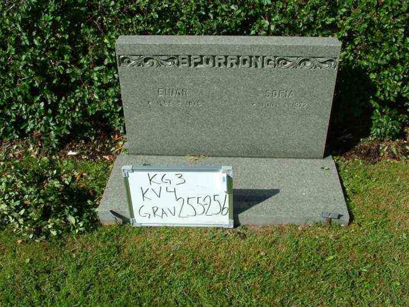 Hautatunnus: 3 04   255-256