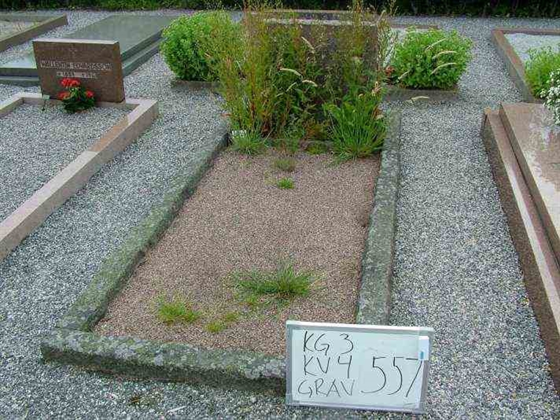 Hautatunnus: 3 04   557