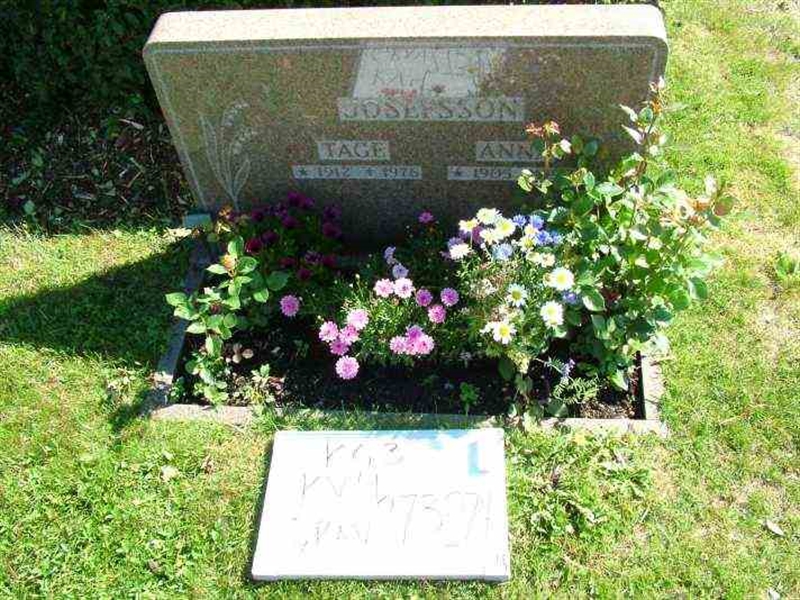 Hautatunnus: 3 04   273-274