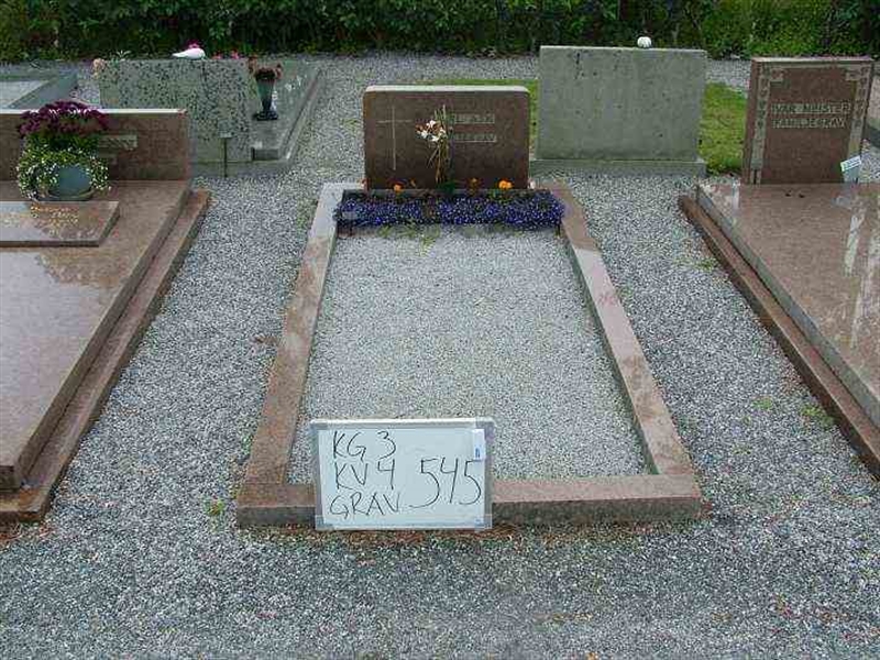 Gravnummer: 3 04   545