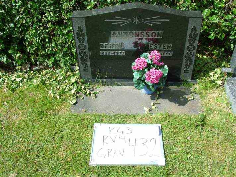 Gravnummer: 3 04   432