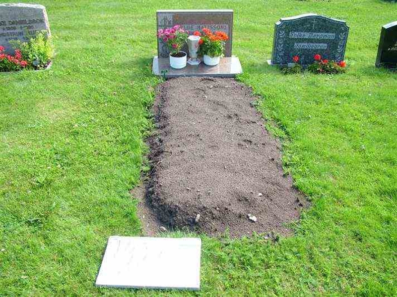 Gravnummer: 3 07    54