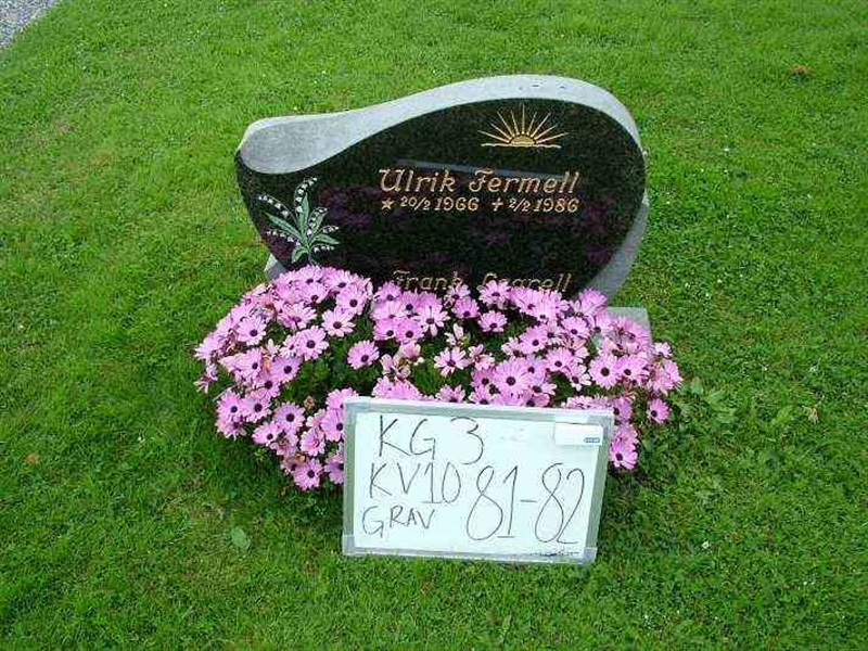 Gravnummer: 3 10    81-82