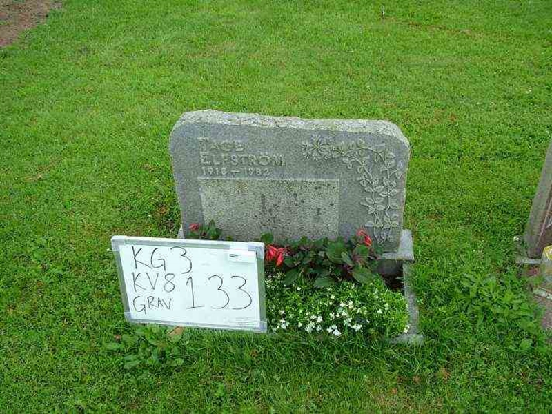 Gravnummer: 3 08   133