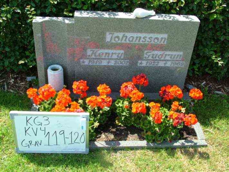 Hautatunnus: 3 04   119-120