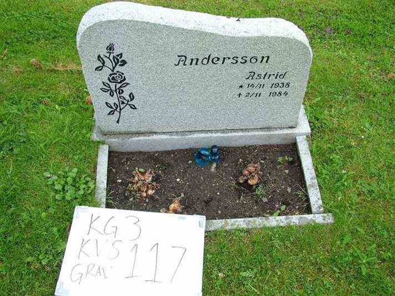 Gravnummer: 3 08   117